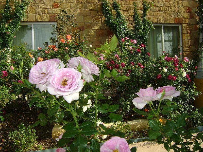 Blanco River Hotel מראה חיצוני תמונה
