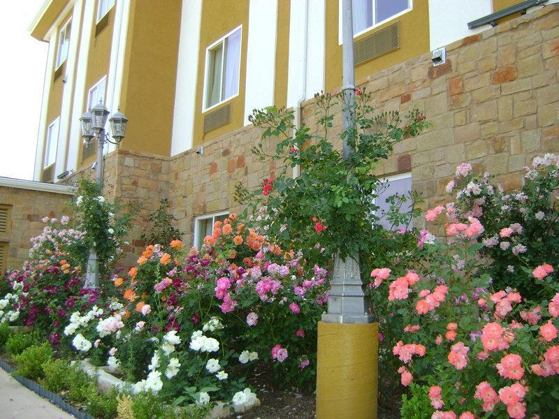 Blanco River Hotel מראה חיצוני תמונה
