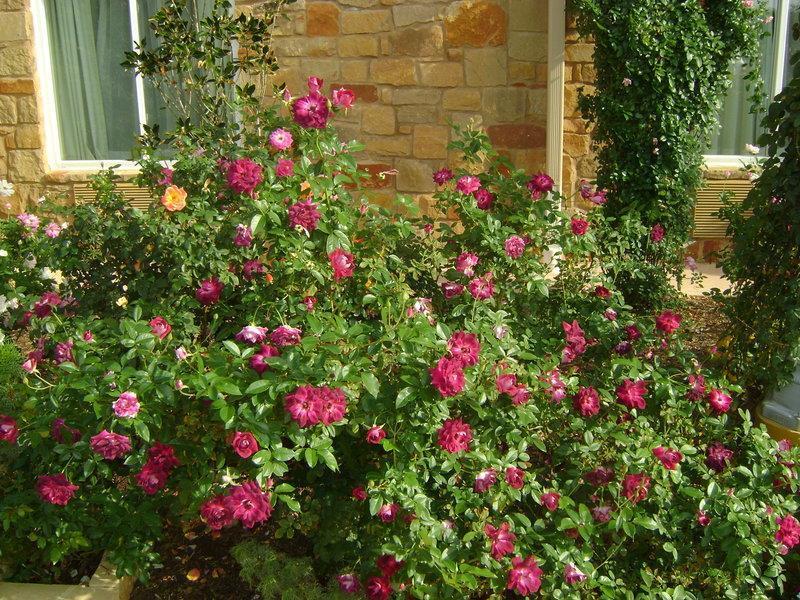 Blanco River Hotel מראה חיצוני תמונה